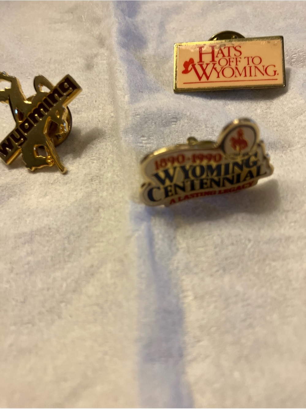 Hat pins